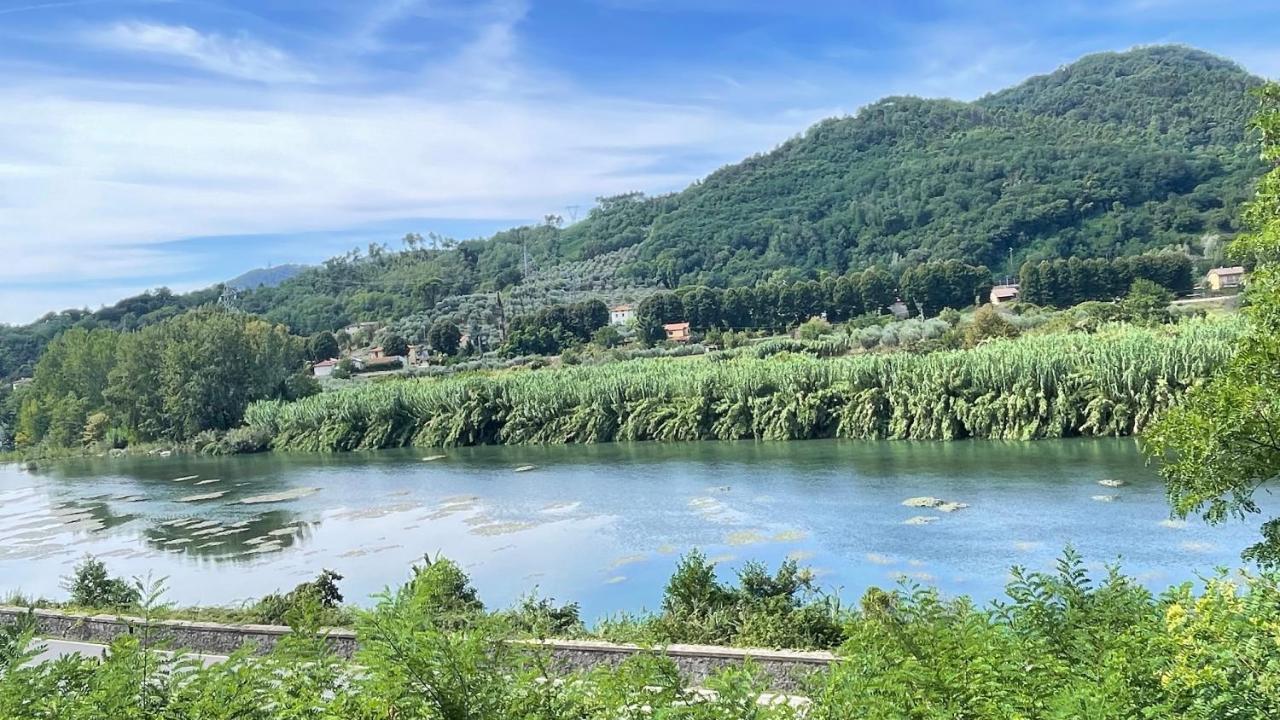 Apartament Tra Gli Olivi Lukka Zewnętrze zdjęcie