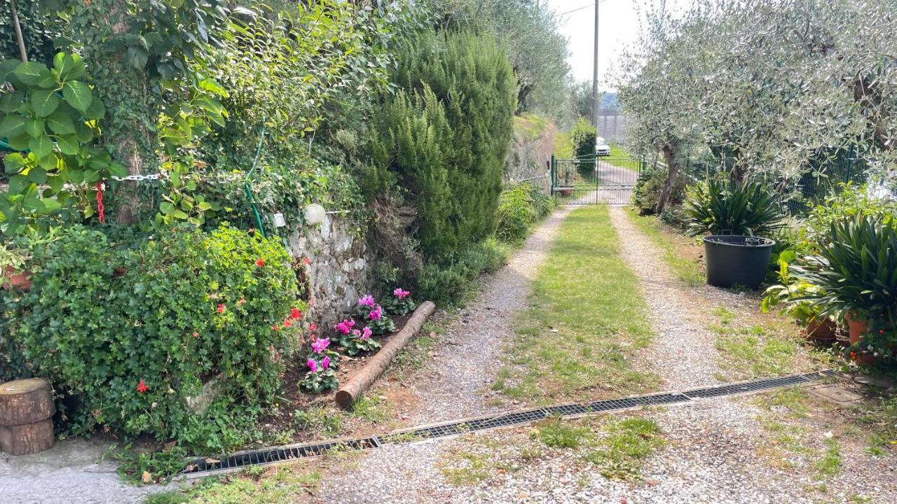 Apartament Tra Gli Olivi Lukka Zewnętrze zdjęcie