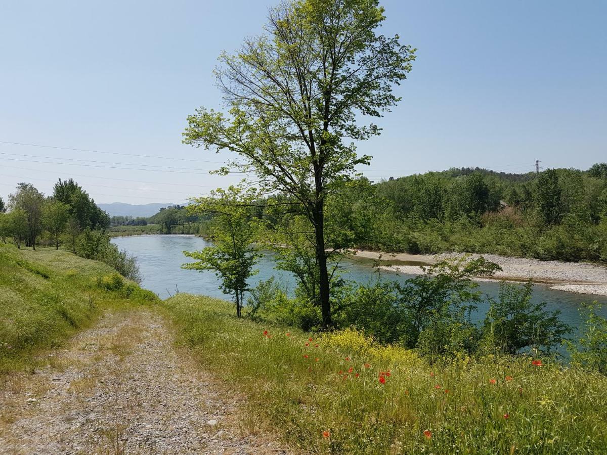Apartament Tra Gli Olivi Lukka Zewnętrze zdjęcie