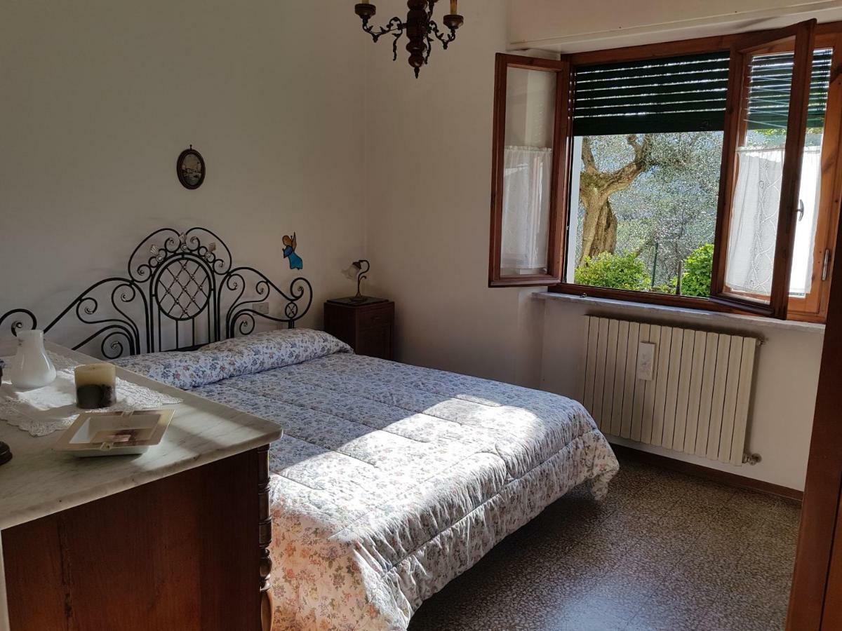 Apartament Tra Gli Olivi Lukka Zewnętrze zdjęcie